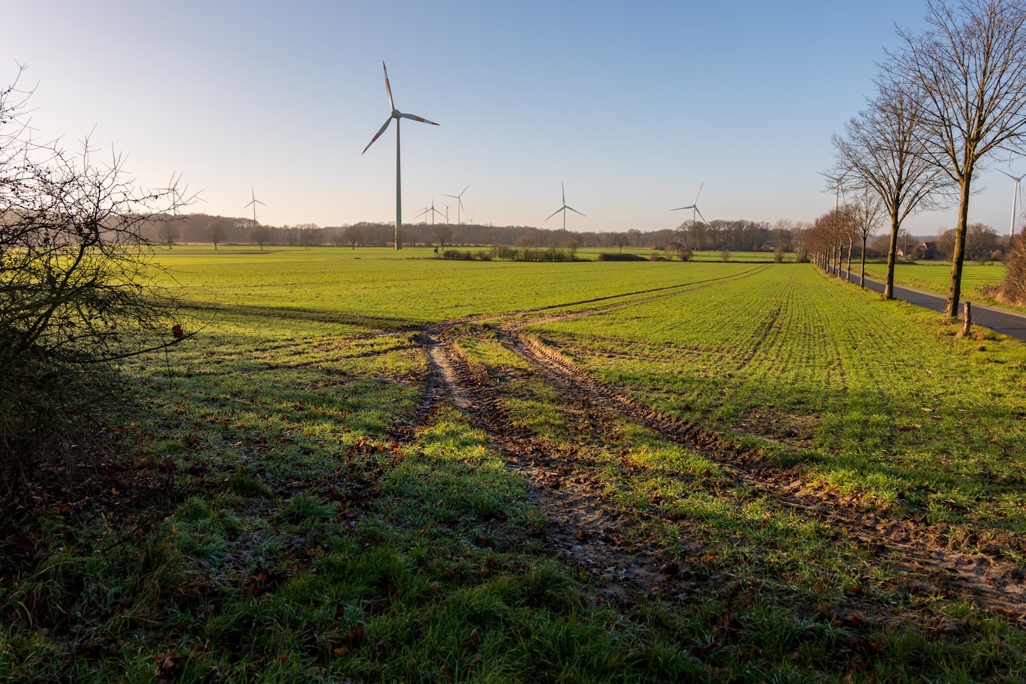 Documenting Our Path to Eco-Friendly Solutions